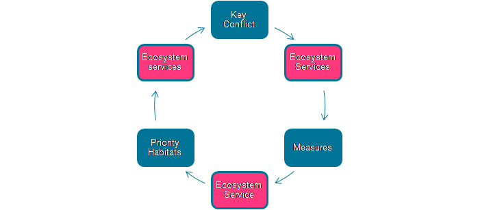 Figure 28:  Conceptual framework showing the linkages between conflict areas, mitigatory measures and priority habitats using the Ecosystem Services approach as a common currency.